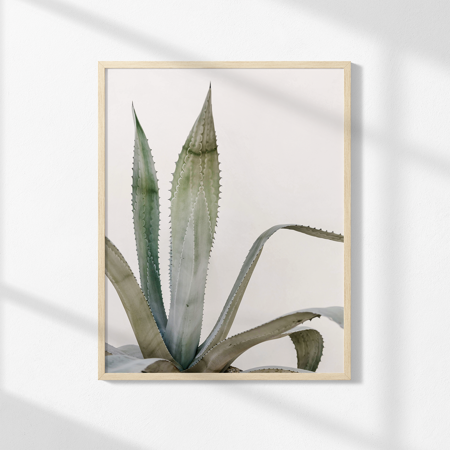 Agave Print