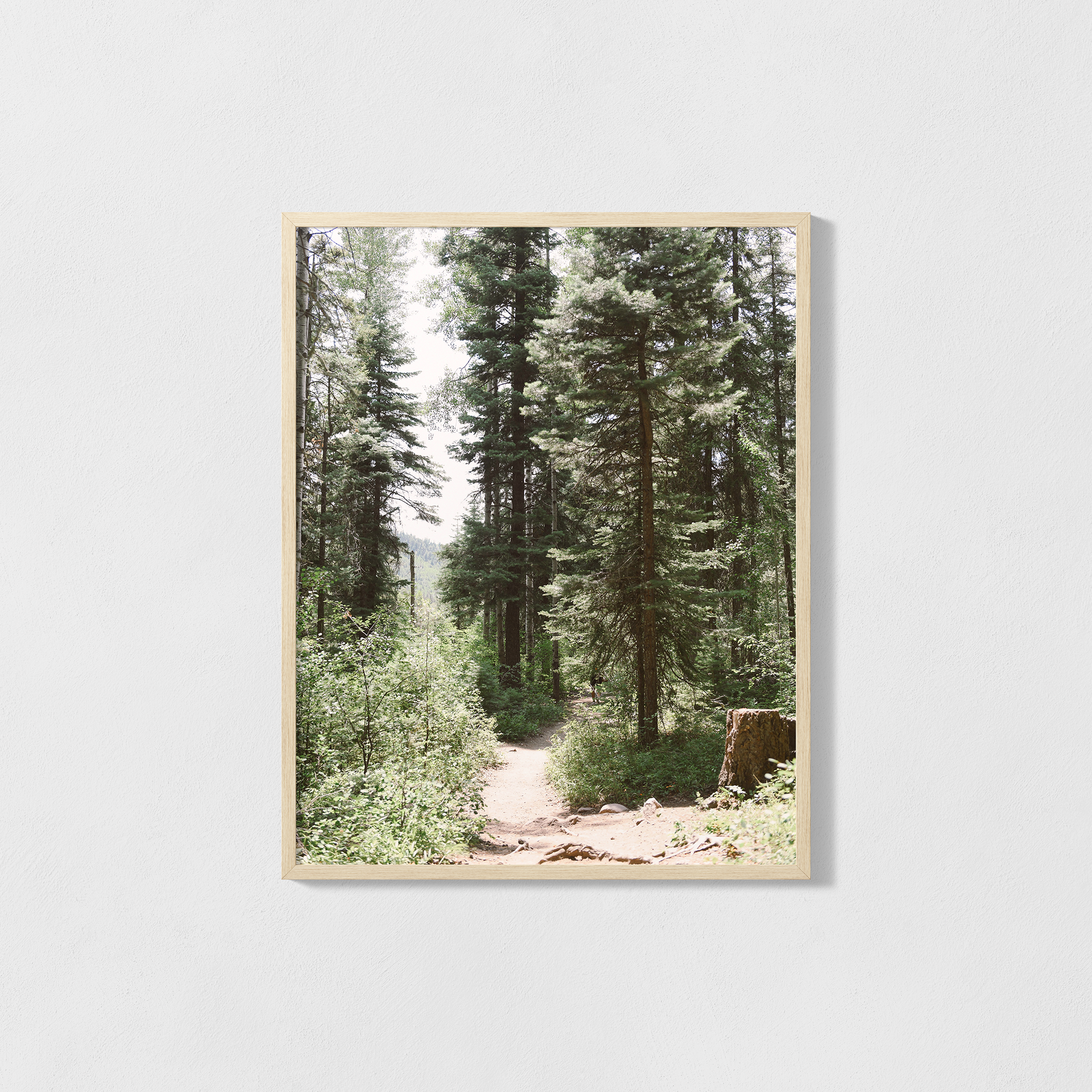 Along Right Paths Print