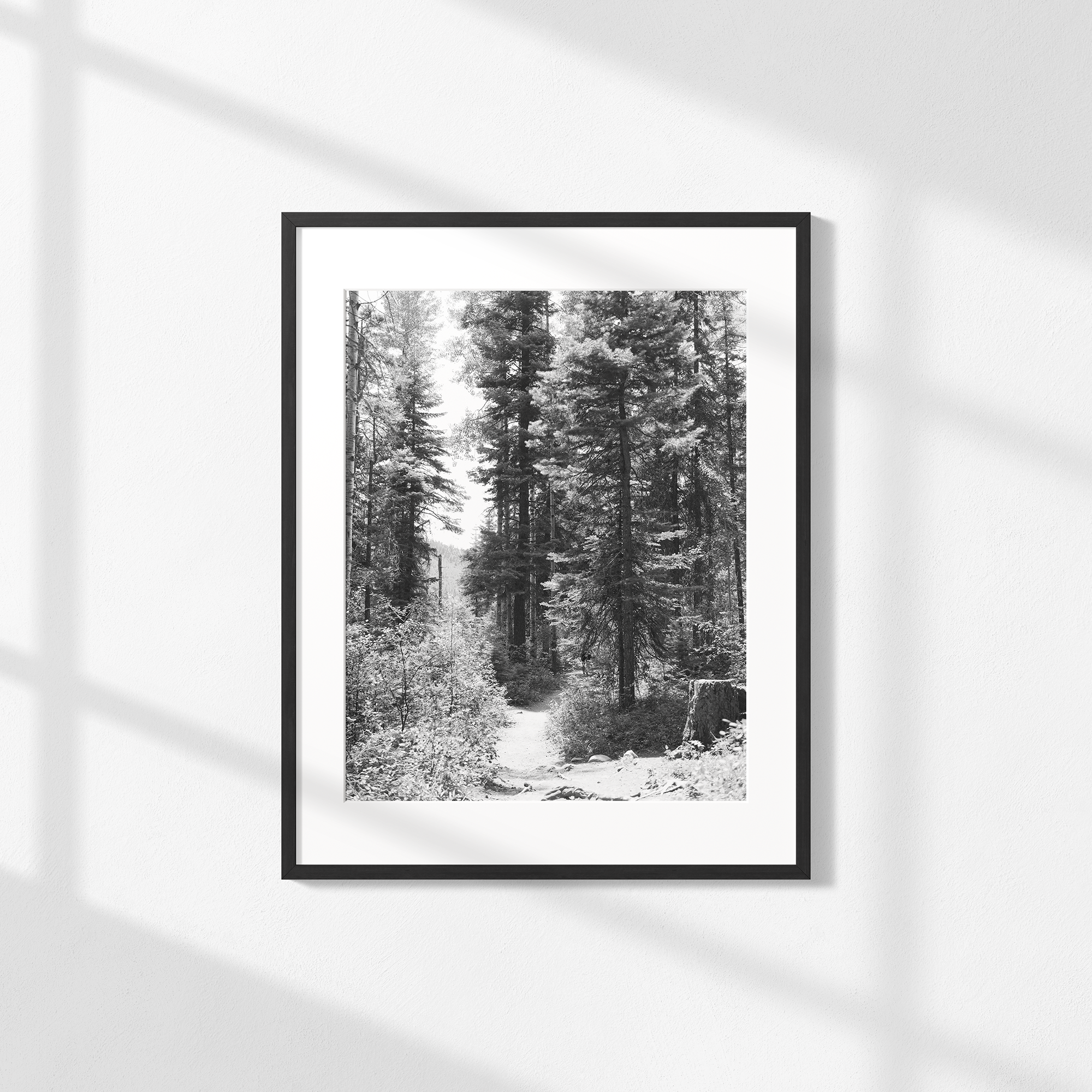 Along Right Paths Print