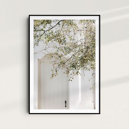 Alys II Print