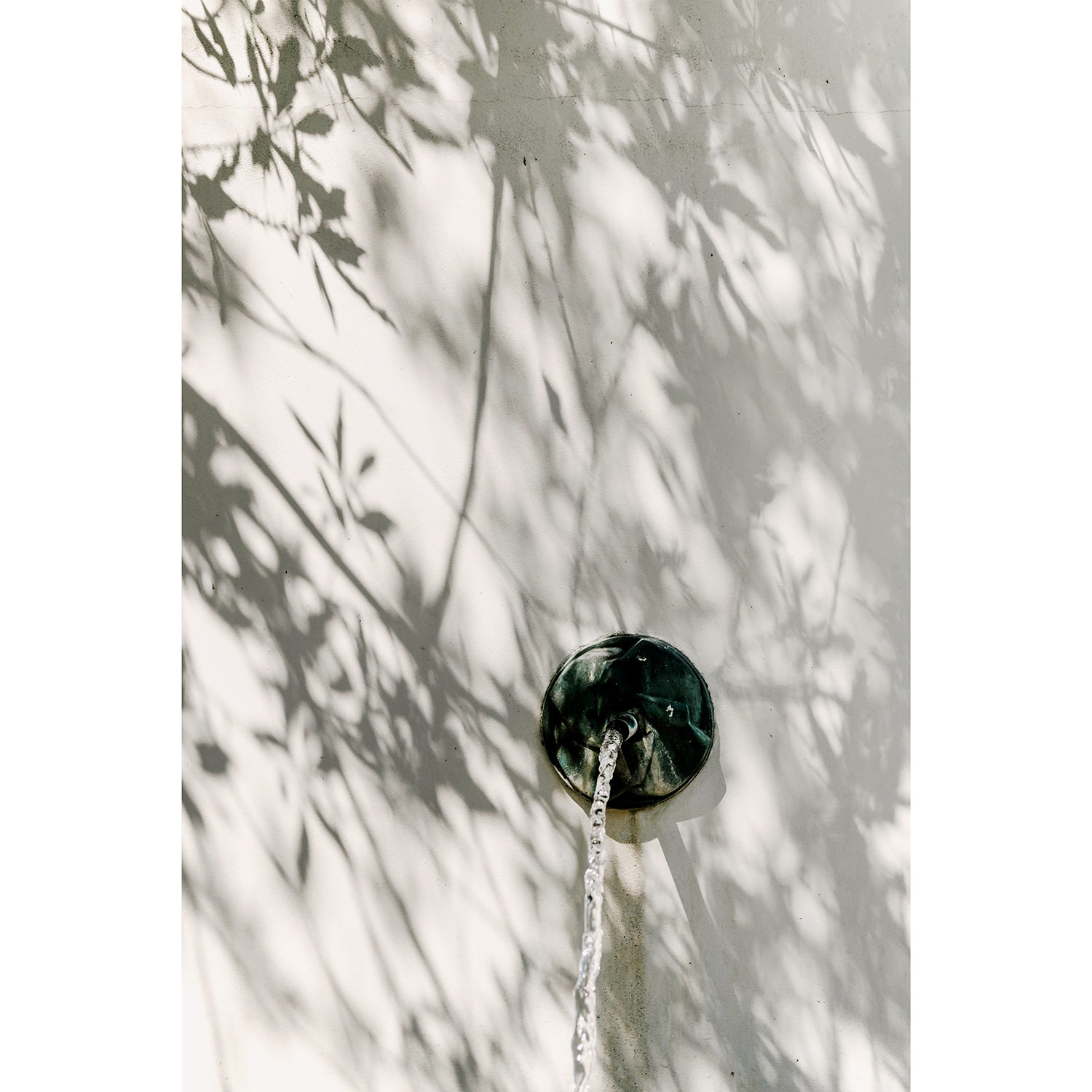 In the Details Print