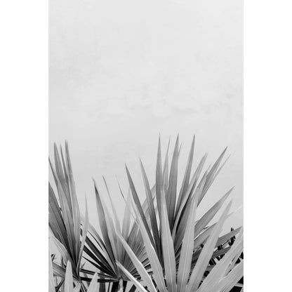Minimalist Print