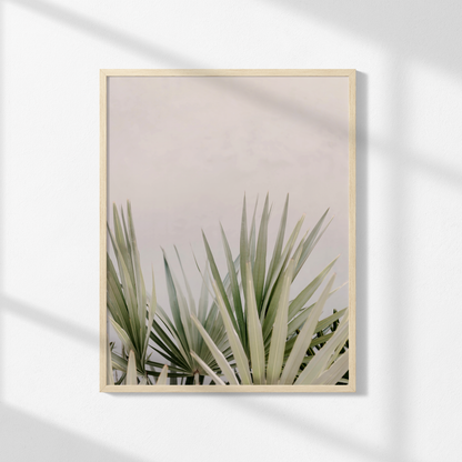Minimalist Print