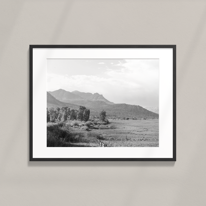 Pagosa Print